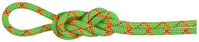 Produktbild Mammut 8.0 Alpine Core Protect Dry Rope (50 m)