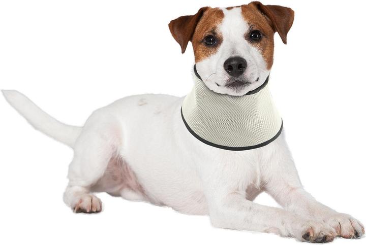 Image du produit Swisspet Écharpe rafraîchissante (M, Bandana pour chien)