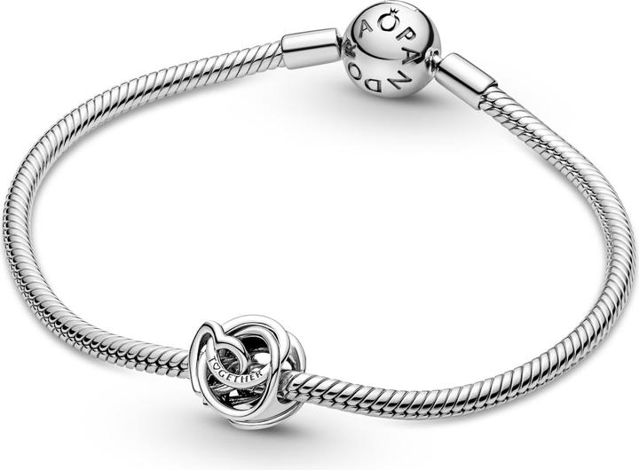 Image du produit Pandora Charm Famille pour toujours (Argent sterling 925)