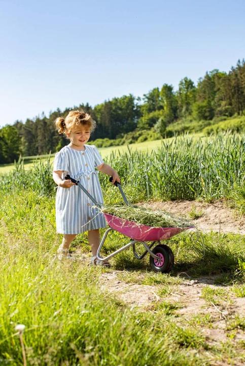 Image du produit Outdoor Active brouette métallique