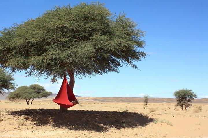 Image du produit Cacoon Simple (200 kg)