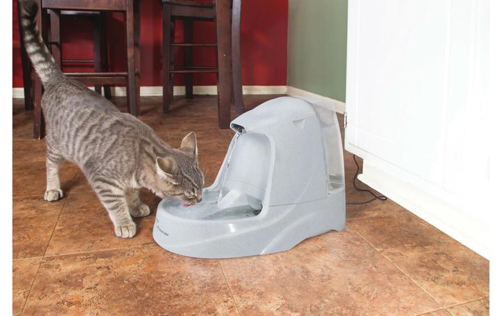 Image du produit PetSafe Platine (5 l)