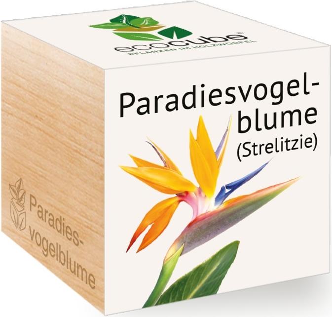 Immagine prodotto Feel Green Ecocube (Semi di fiori)