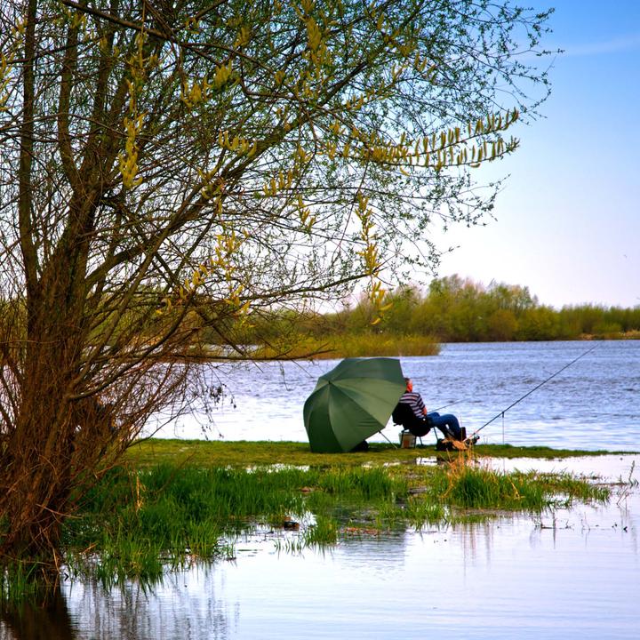 Actual product image Wiltec Fishing umbrella 250cm umbrella tent side wall fishing fishing umbrella windbreak (2 m)