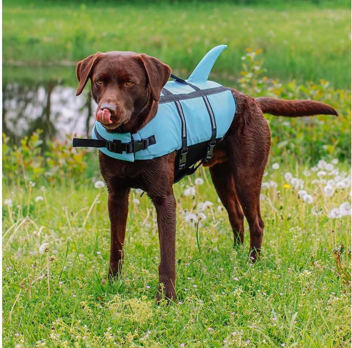 Produktbild Nobby Sharki (XL, Hundeschwimmweste)
