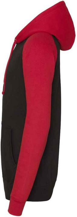 Image du produit Awdis - Sweat à capuche - Homme (M)