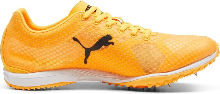 Image du produit Puma evoSPEED Haraka 8 Unisexe (12)
