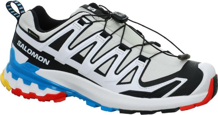 Image du produit Salomon XA Pro 3D V9 GTX (40)