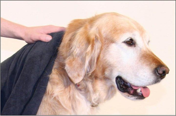 Actual product image Swisspet Microfiber cloth (Dog)