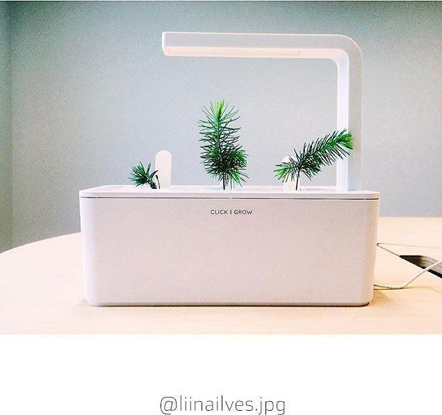 Image du produit Click and Grow Kit expérimental (Germes)