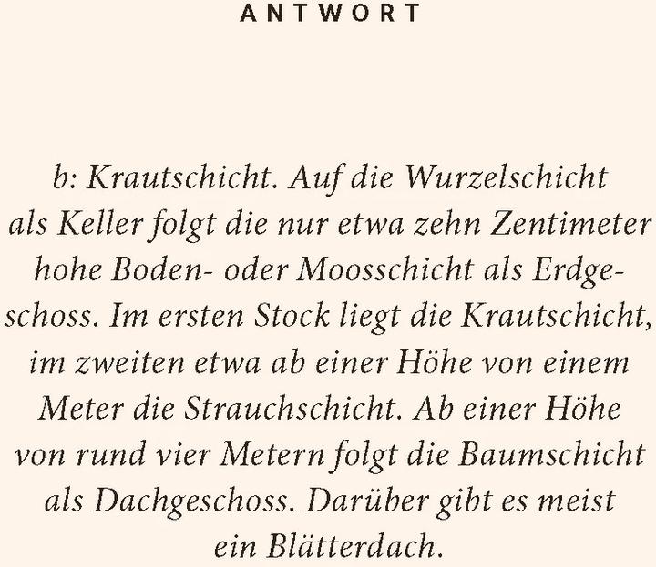 Produktbild Wald-Quiz (Deutsch, Birte Stährmann, Martin Stährmann, 2024)