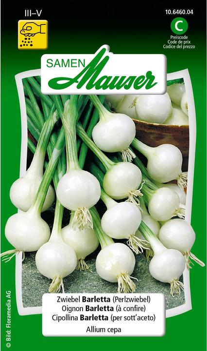 Immagine prodotto Samen Mauser Semi di cipolla Barletta (cipolle perlate) (Pianta bulbosa)