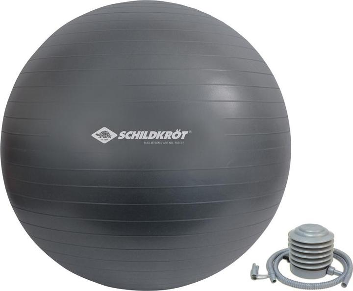 Produktbild Schildkröt Gymnastikball (75 cm)