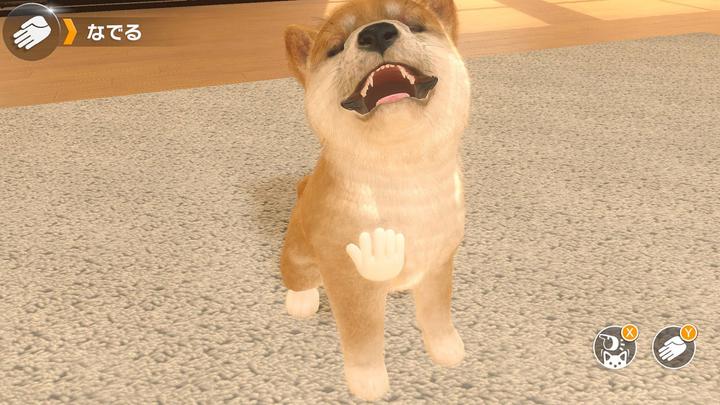Actual product image Sold Out Little Friends: Dogs & Cats (Switch, DE)