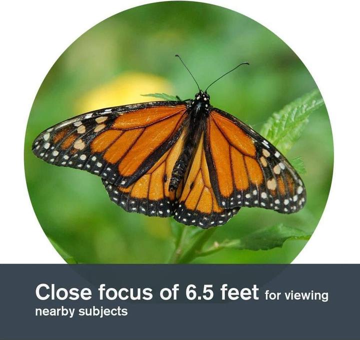 Actual product image Celestron Nature DX 8x42 (8 x, 42 mm)
