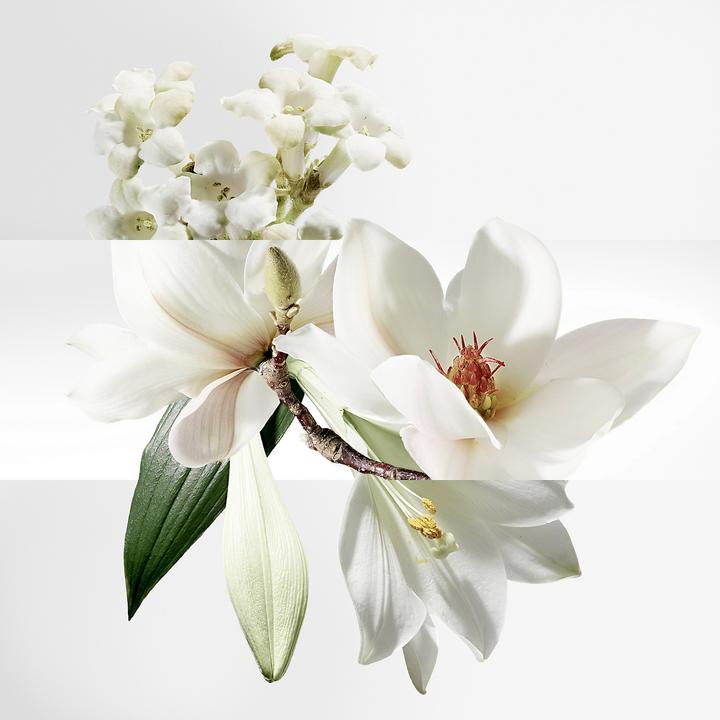 Actual product image Hermès Un Jardin sur la Lagune (Body cream, 200 ml)