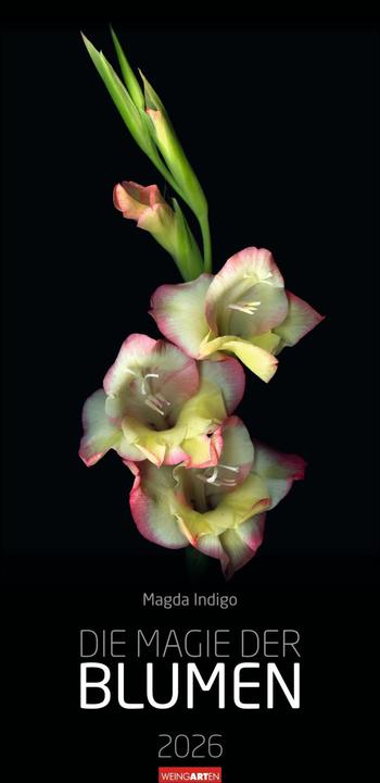 Immagine prodotto Die Magie der Blumen Kalender 2026 (33 x 68 cm, Tedesco)