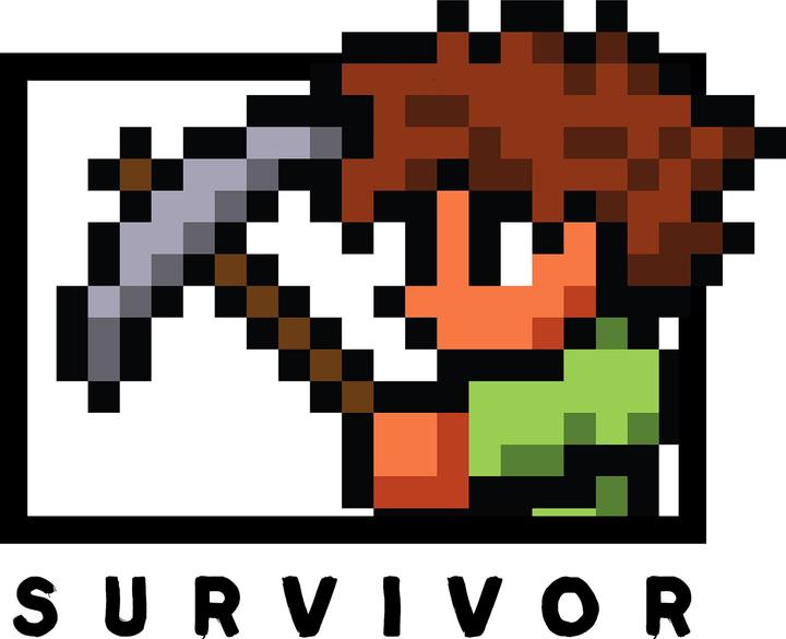 Produktbild Terraria Survivor Kapuzenpullover (L)