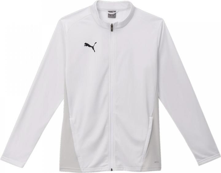 Actual product image Puma teamGOAL Training Jacket (XXL)