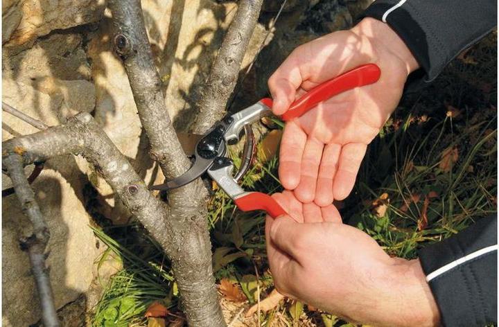 Produktbild Felco Gartenschere 13