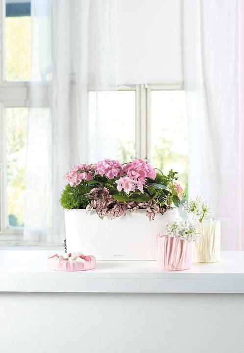 Produktbild Lechuza Delta (15 cm)