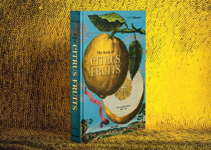 Actual product image J. C. Volkamer. The Book of Citrus Fruits (German, French, English, Iris Lauterbach, 2020)