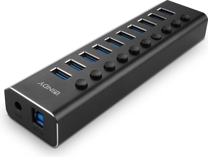 Immagine prodotto Lindy Hub USB 3.0 a 10 porte con interruttori On/Off Collega fino a 10 dispositivi USB (USB-C, 10 Porti)