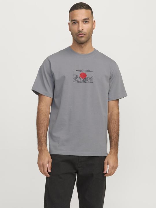 Actual product image Jack & Jones Rddadam Crew Neck Tee S/S Sn (M)