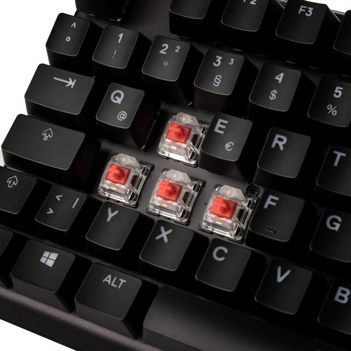 Actual product image SteelSeries Apex 7 TKL (DE, Cable)
