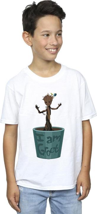 Immagine prodotto Guardians Of The Galaxy Groot Flower Pot Maglietta Ragazzi (140, 146)