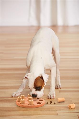 Actual product image Nina Ottosson Dog Smart CompositeLevel 1 (Intelligence toy dog)
