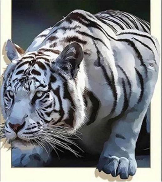 Produktbild Pracht Diamond Painting 6037-40731 Weisser Tiger 25 x 35 cm