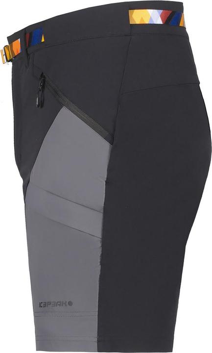 Image du produit Icepeak Delphos (58)