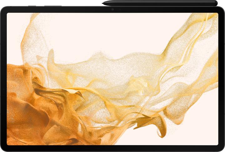 Actual product image Samsung Galaxy Tab S8+ (WLAN only, 12.40", 256 GB, Graphites)