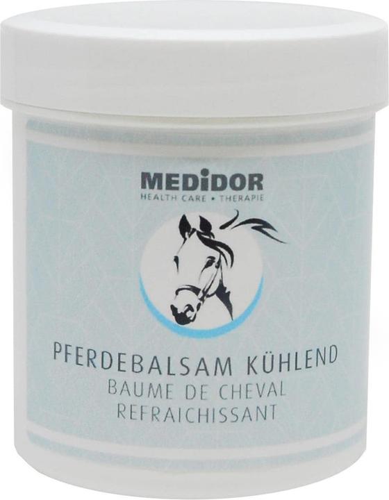 Medidor Pferdebalsam blau kühlend (1 x, 100 ml, 120 g)
