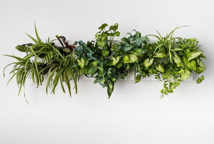Immagine prodotto Ortisgreen Giardino verticale intelligente