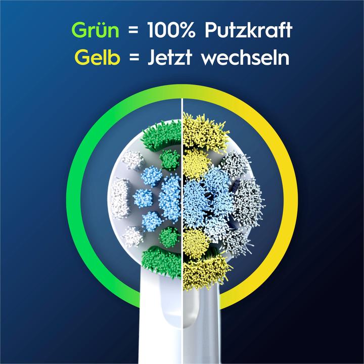 Actual product image Oral-B Pro Precision Clean (10 x)