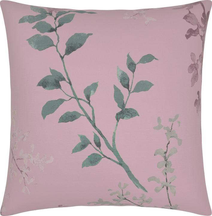 mauve-rose pâle
