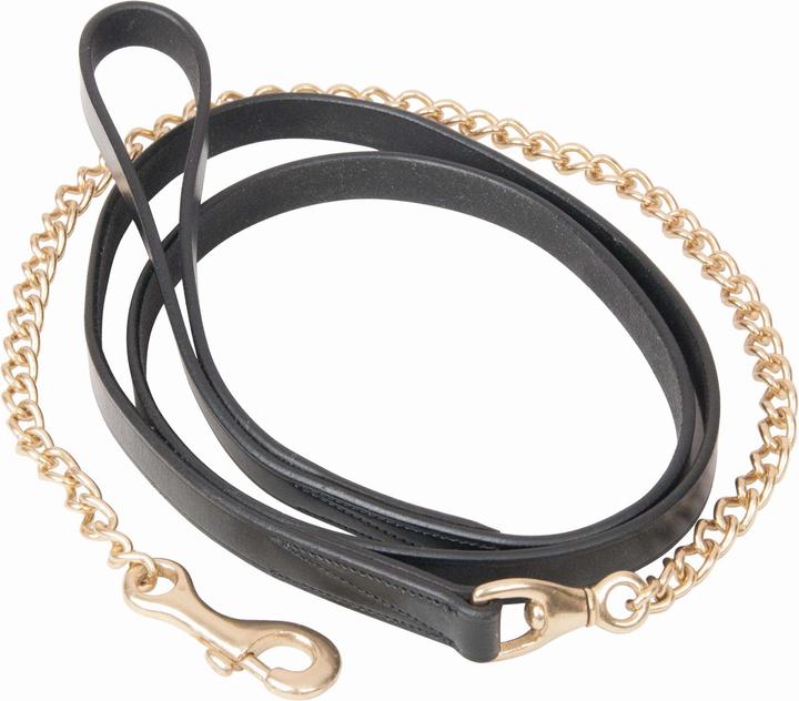 Produktbild TdeT Schauleine mit doppelter Kette