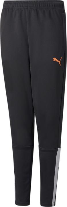 Image du produit Puma teamLIGA Pantalon d'entraînement Jr (176)