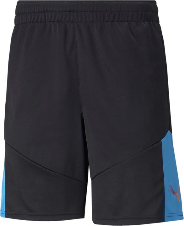 pumablackoceevedeeporchid
