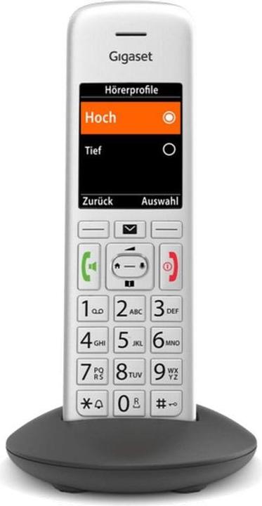 Actual product image Gigaset E390 HX CAT-iq