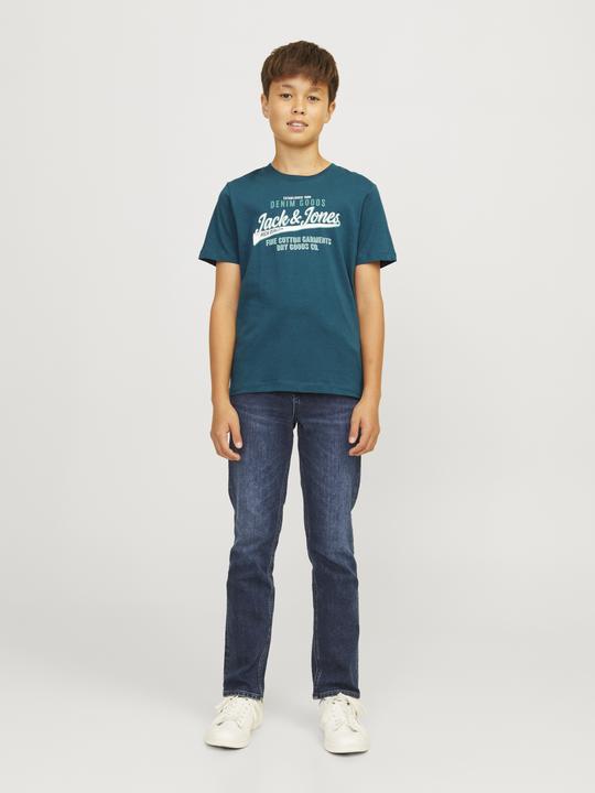 Image du produit Jack & Jones JJELOGO TEE SS ONECK 2COL 24/25 NOOS JNR (176)