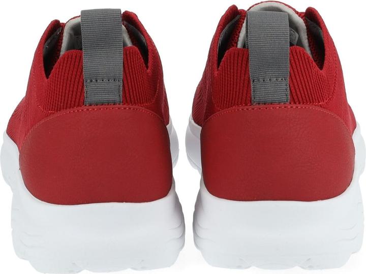 Actual product image Geox Sneaker (41)