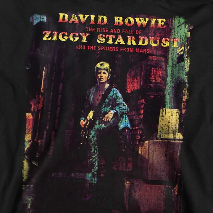 Produktbild David Bowie Ziggy Stardust Album Sweatshirt (L)