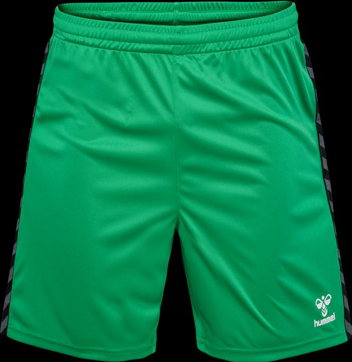 Image du produit hummel Hmlauthentic Pl Shorts (XXL)