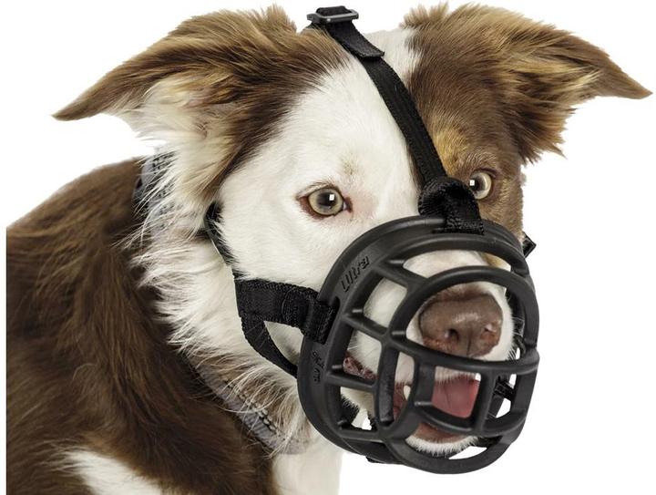 Immagine prodotto Company of Animals Museruola Ultra Muzzle (4, Cane, Generale)