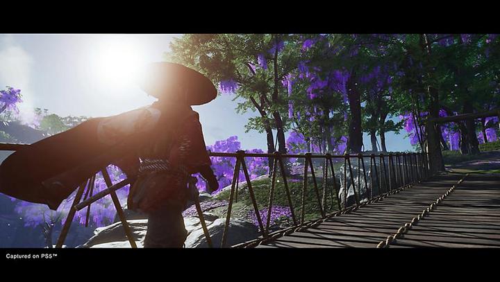 Image du produit Sony Ghost of Tsushima - Directors Cut (PS5, DE)