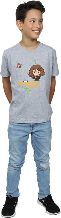 Image du produit - T-shirt WINGARDIUM LEVIOSA - Garçon (140, 146)