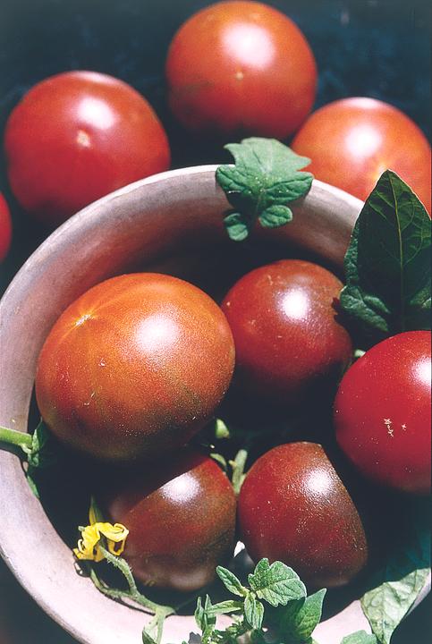 Image du produit Zollinger Bio Tomate, Crimée noire